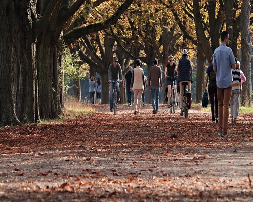 Walking comfortably in a local park during weekend